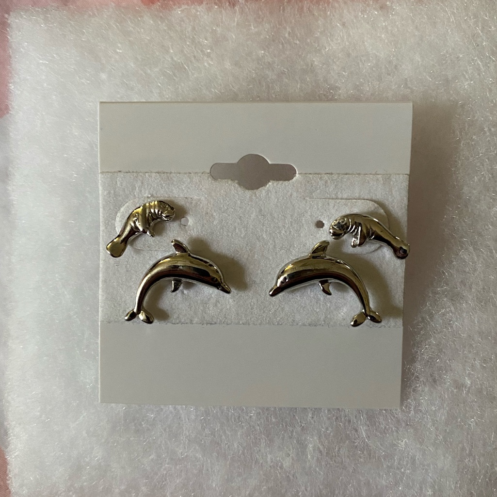Sterling Silver Earrings